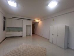 Studios @ Marne (D8), Apartment #560834001